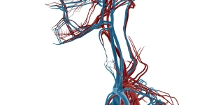 neck-dissection-ent