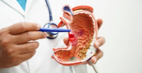 stomach